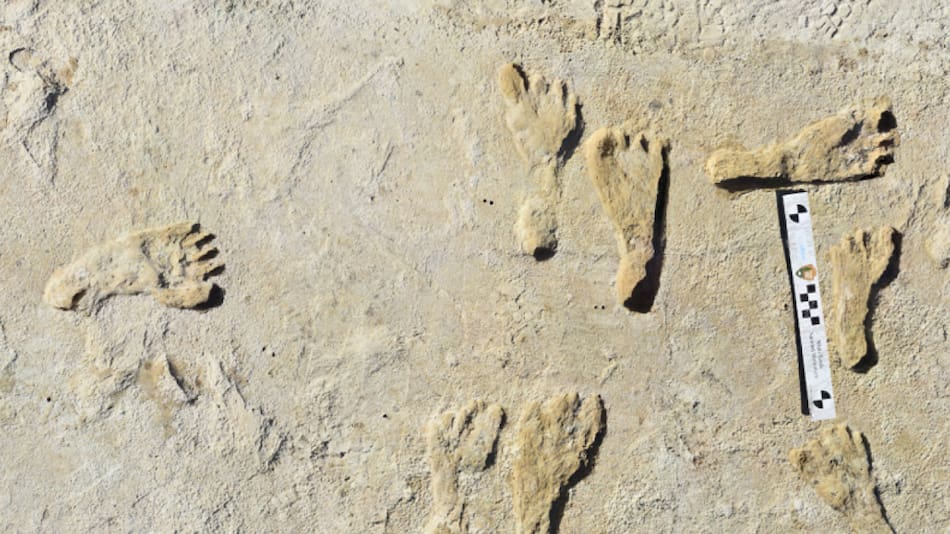 Los humanos llegaron a América hace más de 20.000 años atrás. Foto: Servicio Geológico de Estados Unidos.