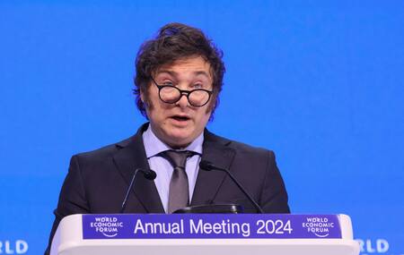 Javier Milei, presidente de la Nación. Foto: NA.