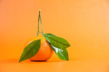 El superalimento que tiene diez veces más vitamina C que la naranja. Foto: Unsplash