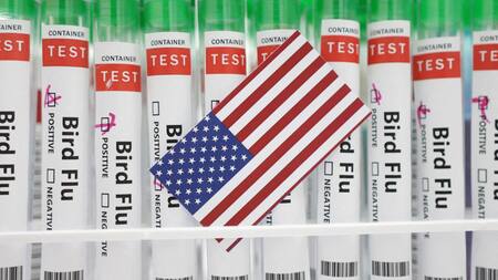 Gripe aviar en Estados Unidos. Foto: Reuters.