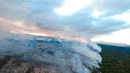 Incendio en parque Los Alerces. Foto: Télam