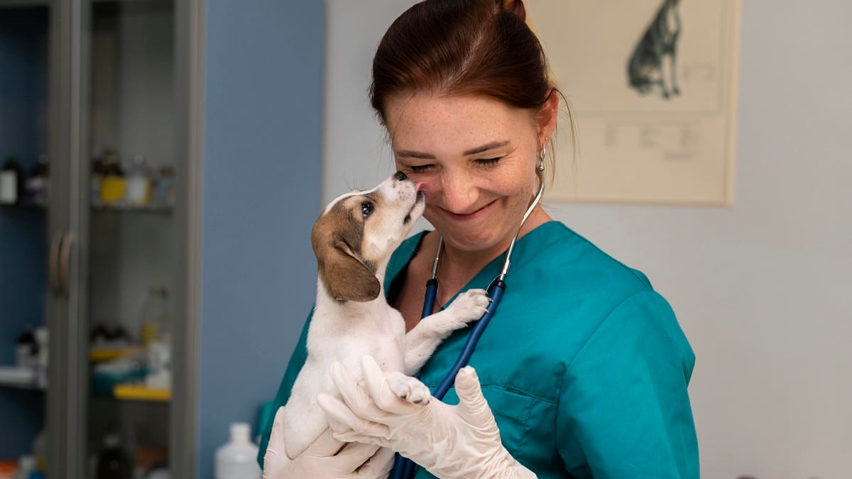 Viajá por el mundo con tu mascota: cuáles son los requisitos necesarios y cómo hacer los trámites