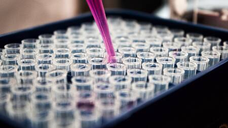 Ciencia, científicos, medicina, ceélulas madre. Unsplash