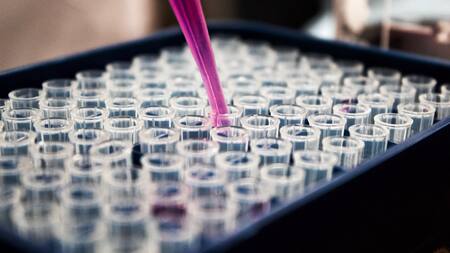 Hay una brecha del 50% entre los alimentos que se producen en 2023 y los que se necesitarían en 2050. Foto: Unsplash.