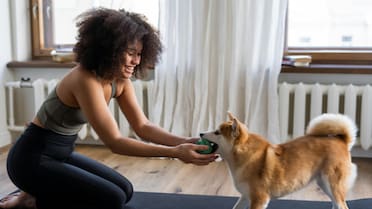 Ejercitar a un perro viejito sin forzarlo: cómo ayudar a nuestra mascota para estimular su mente