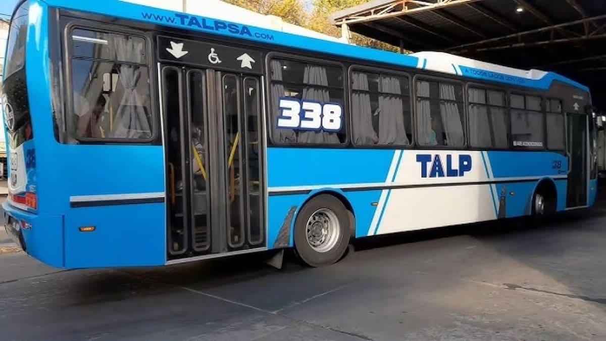 Linea 338. Fuente: Facebook /Bondis del todo el pais