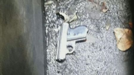 Pity álvarez - Arma - Asesinato