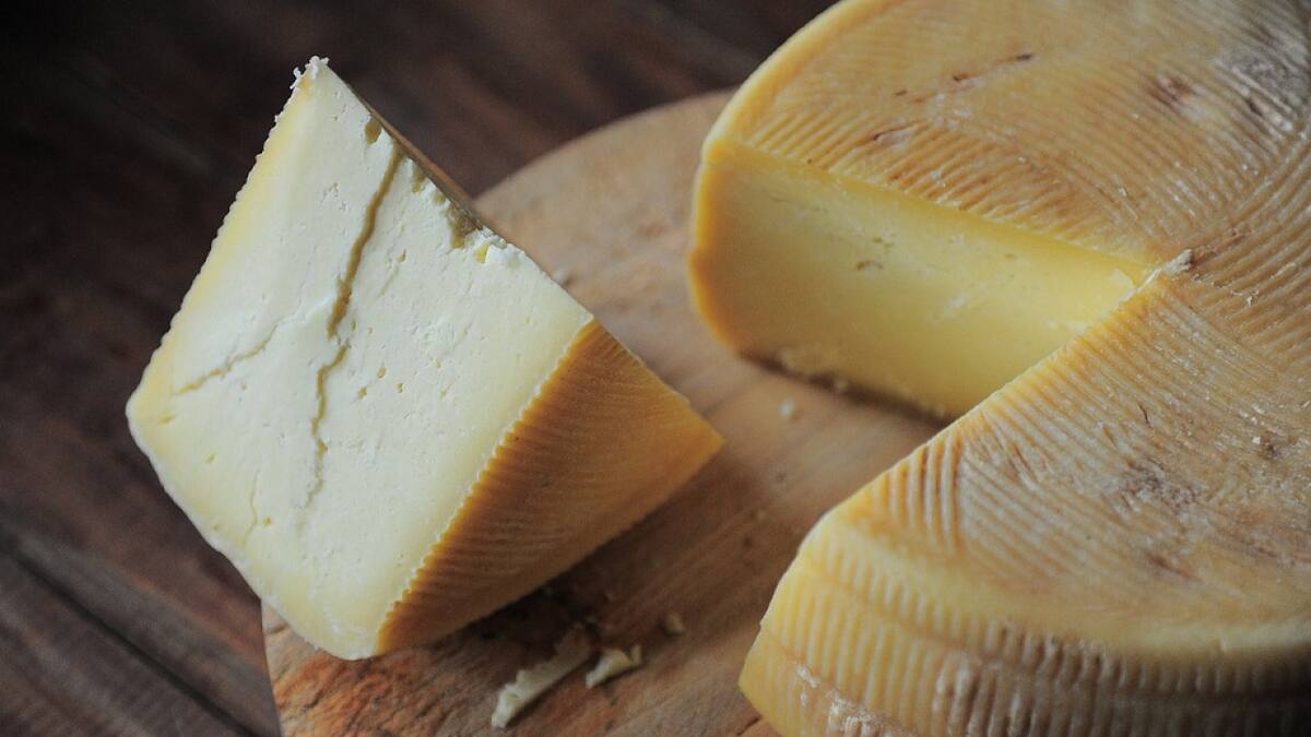 El queso es una excelente fuente de proteínas de alta calidad. Foto: Pexels.
