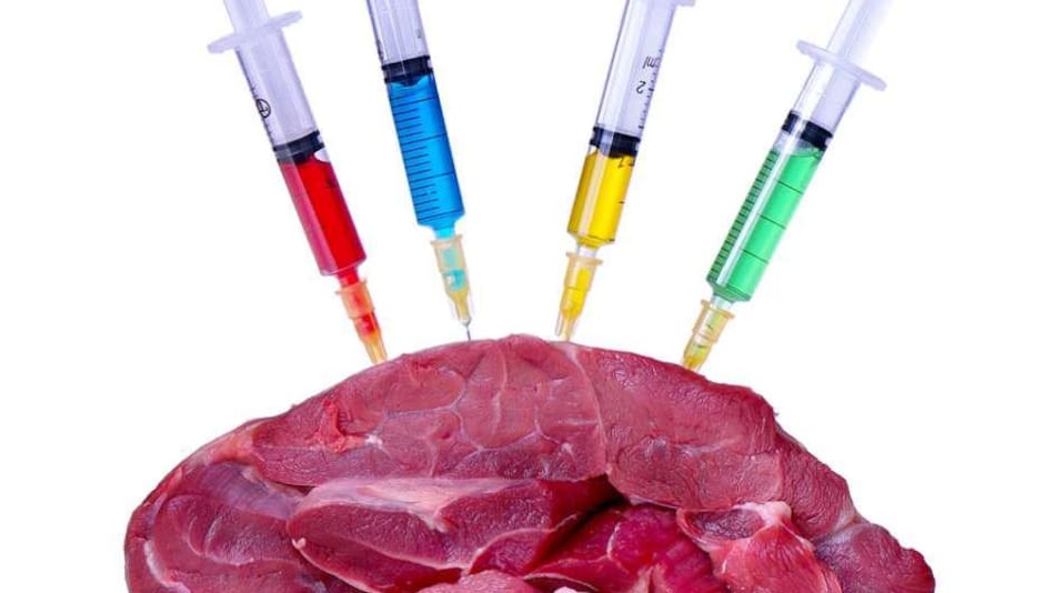 Carne criada con hormonas y antibióticos