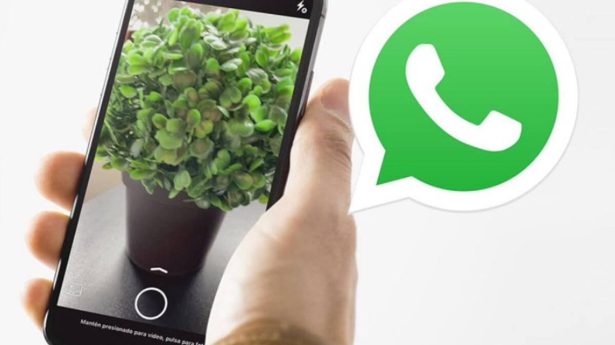 Envío de fotos en WhatsApp. Foto: NA.