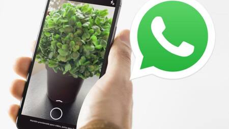 Envío de fotos en WhatsApp. Foto: NA.