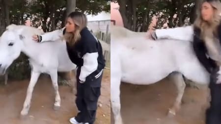 Julieta Poggio fue pateada por un caballo. Foto: captura.