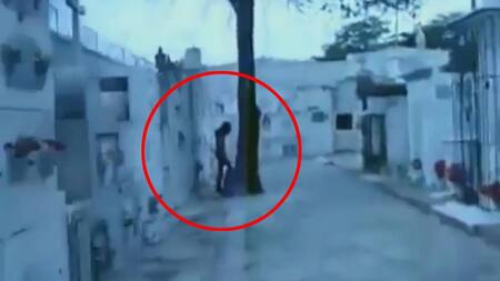 Misteriosa aparición en cementerio de San Luis