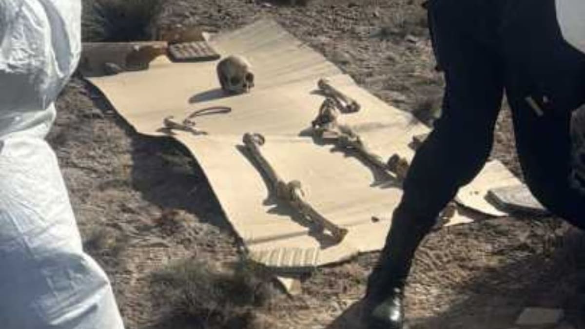 Caminaba con su perro y encontró 125 piezas óseas en Puerto Madryn.