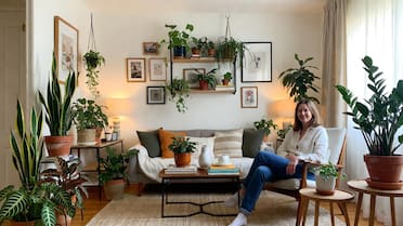 Más verde en el hogar: 3 plantas de interior de bajo mantenimiento, ideales para quienes no tienen tiempo ni experiencia