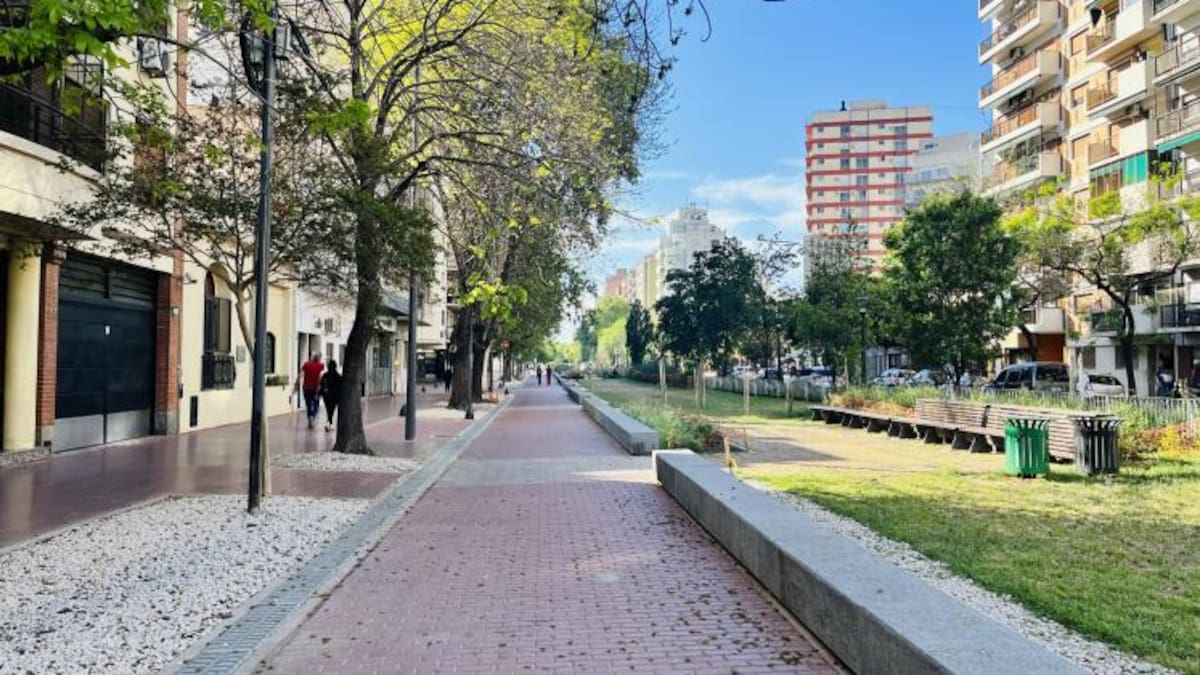 Calle verde Honorio Pueyrredón.