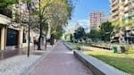 Calles verdes en CABA, la iniciativa que transforma barrios: para qué sirven y dónde se encuentran
