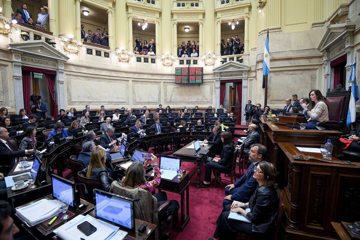Senado, Congreso. Foto: NA