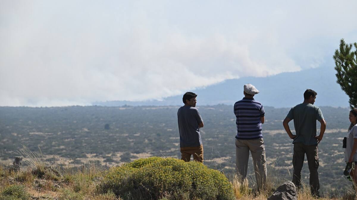 Incendio en Los Alerces. Foto: Télam