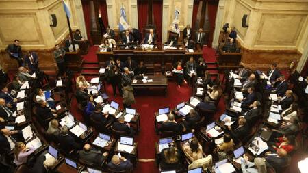 Debate en el Senado. Foto: NA