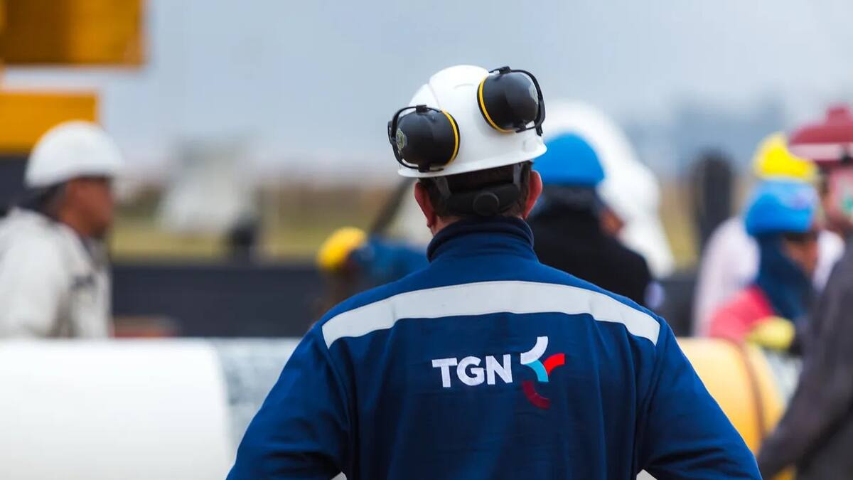 TGN. Fuente: Web TGN