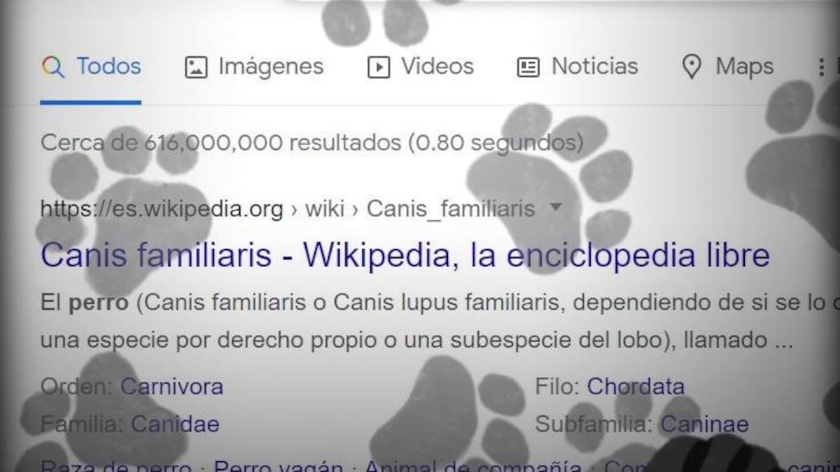 Pantalla de Google con huellitas. Foto: captura de pantalla.