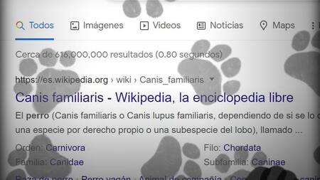 Pantalla de Google con huellitas. Foto: captura de pantalla.