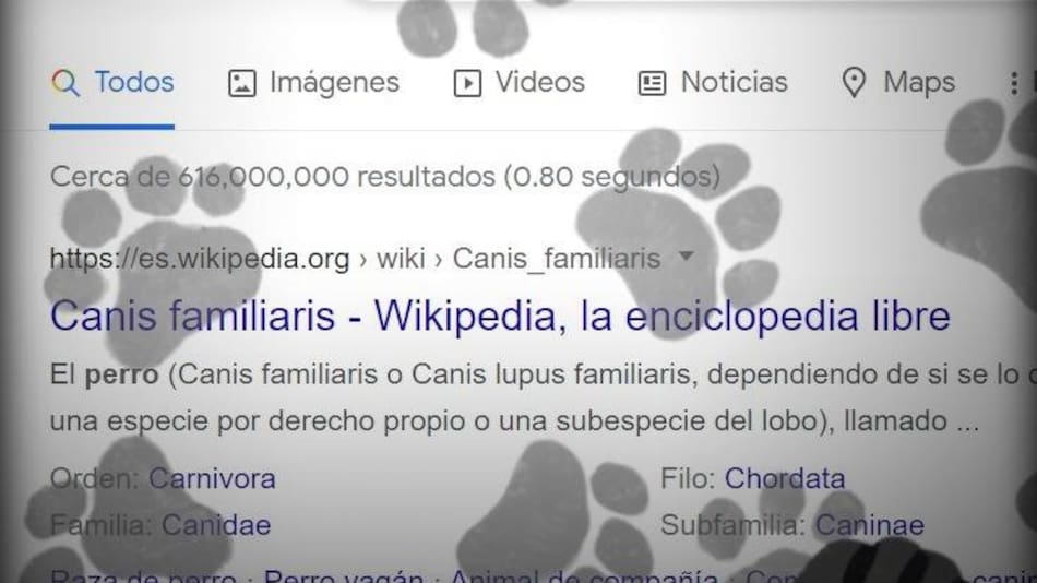 Pantalla de Google con huellitas. Foto: captura de pantalla.