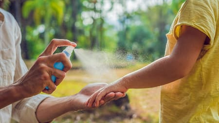 Repelentes. Foto: argentina.gob.ar