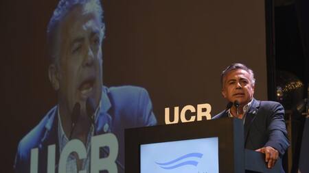 Alfredo Cornejo, UCR, radicalismo, NA