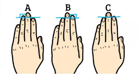 Largo de los dedos y personalidad