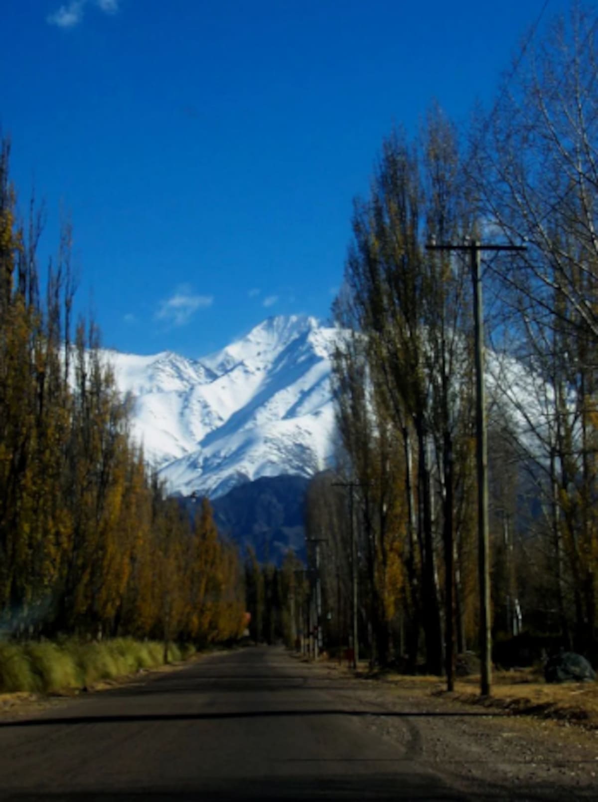 Paisaje de Potrerillos