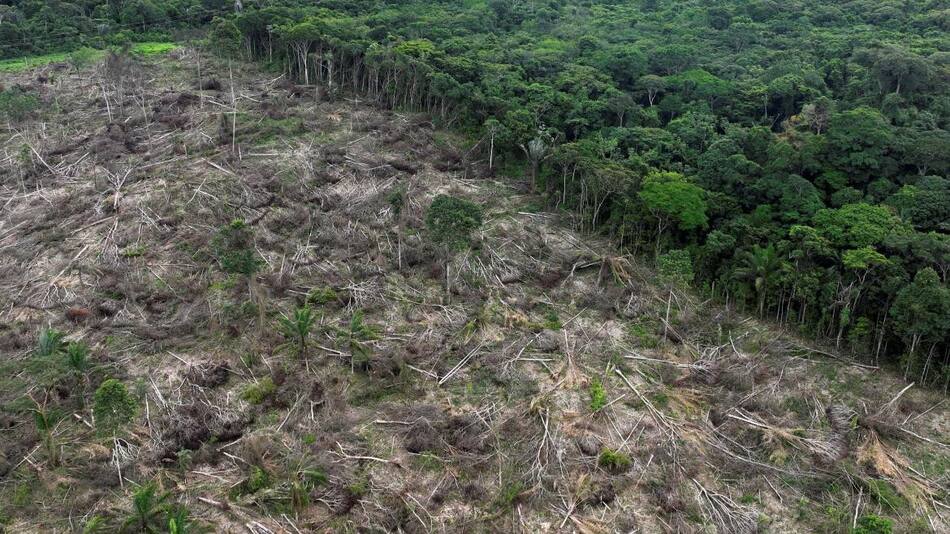 Deforestación en la Amazonia. Foto: Reuters