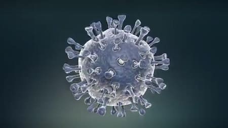 Coronavirus, captura Reuters