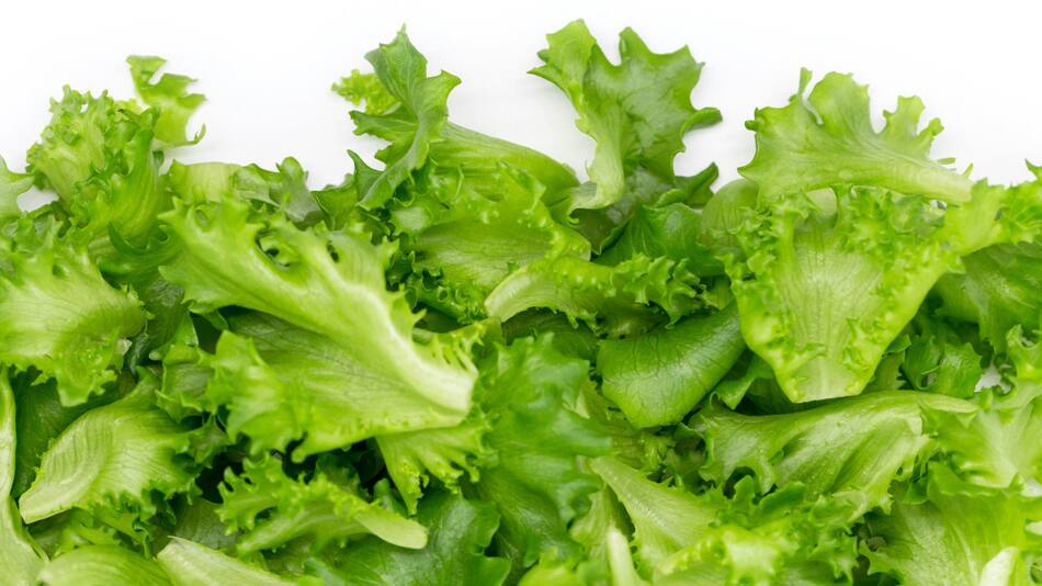 Lechuga. Foto: Unsplash.