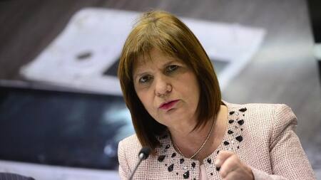 Patricia Bullrich - Disculpas