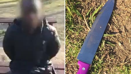 Detención de hombre en Puerto Madero. Fotos: captura video.