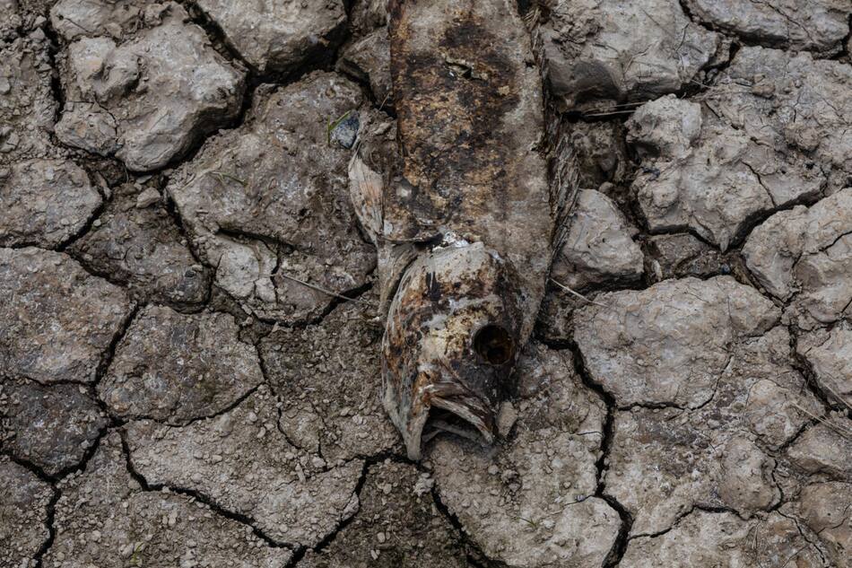 La Amazonia afronta la peor sequia de la historia. Foto: EFE