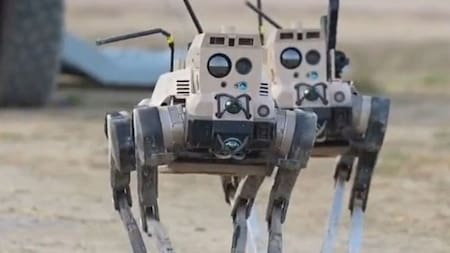 Lobos robots presentados por China. Foto: X.