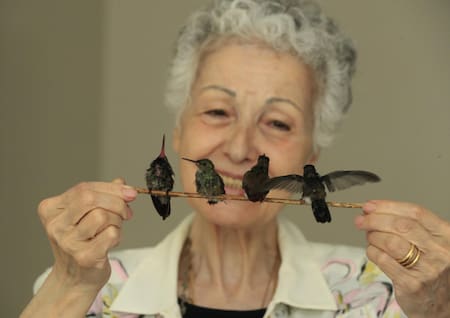 Mujer mexicana creo un hospital de colibríes. Foto: EFE