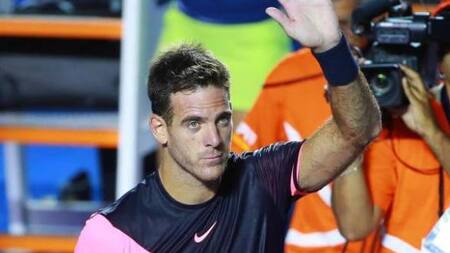 Triunfo de Del Potro en ATP de Acapulco