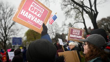 Protestas en Harvard. Foto: REUTERS/Nicholas Pfosi.