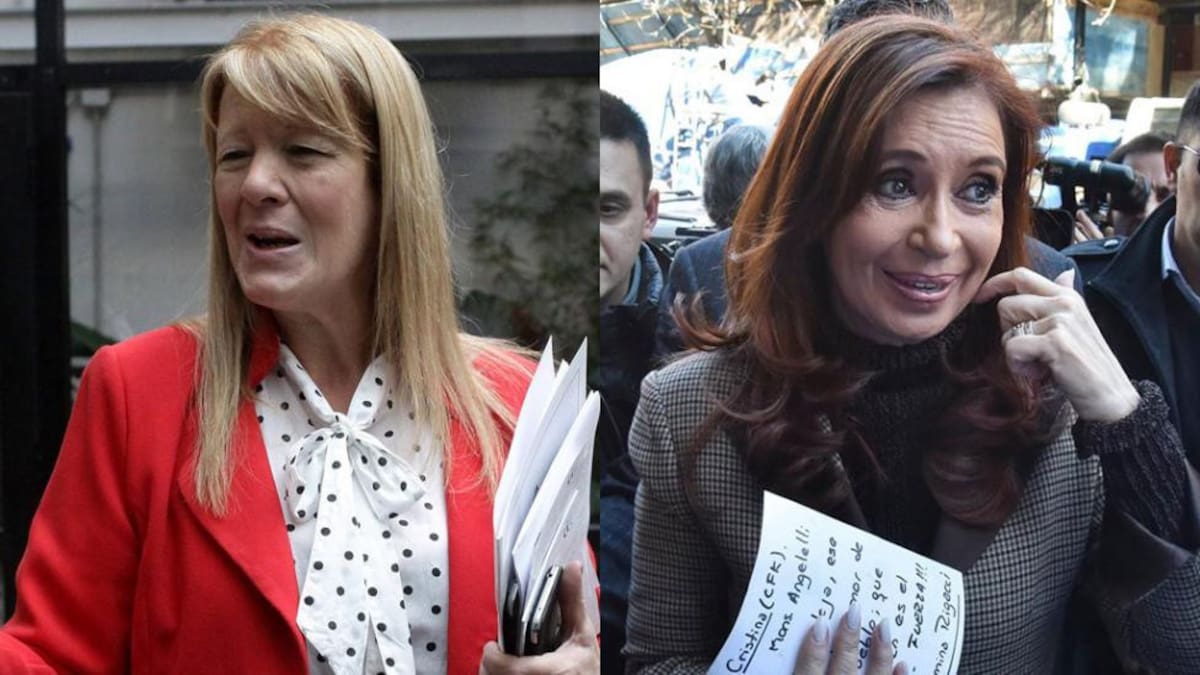 Stolbizer: “Que Cristina se haga cargo de bolsos de López, cajas de Florencia y millones de Máximo”