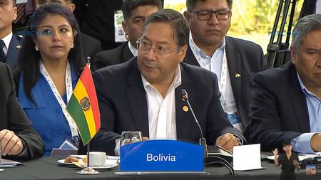 Luis Arce en Cumbre del Mercosur en Argentina. Foto: captura de video.
