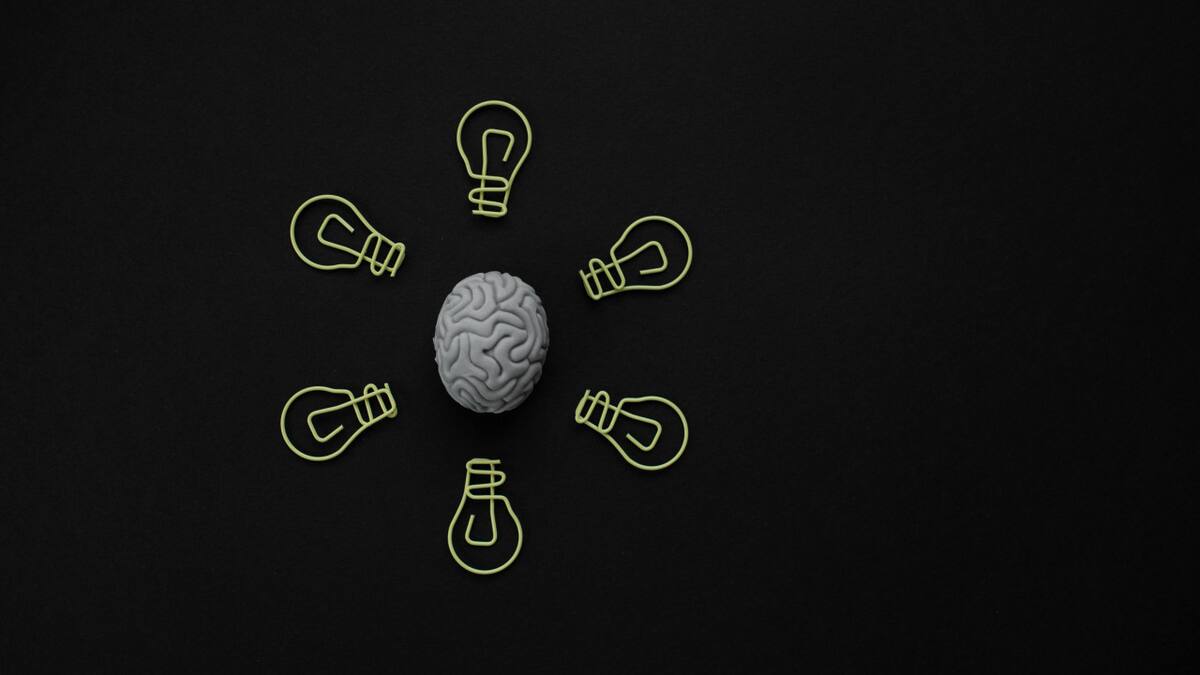 Cerebro. Fuente: Unsplash