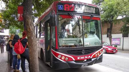 Colectivos, transporte público. Foto: NA.