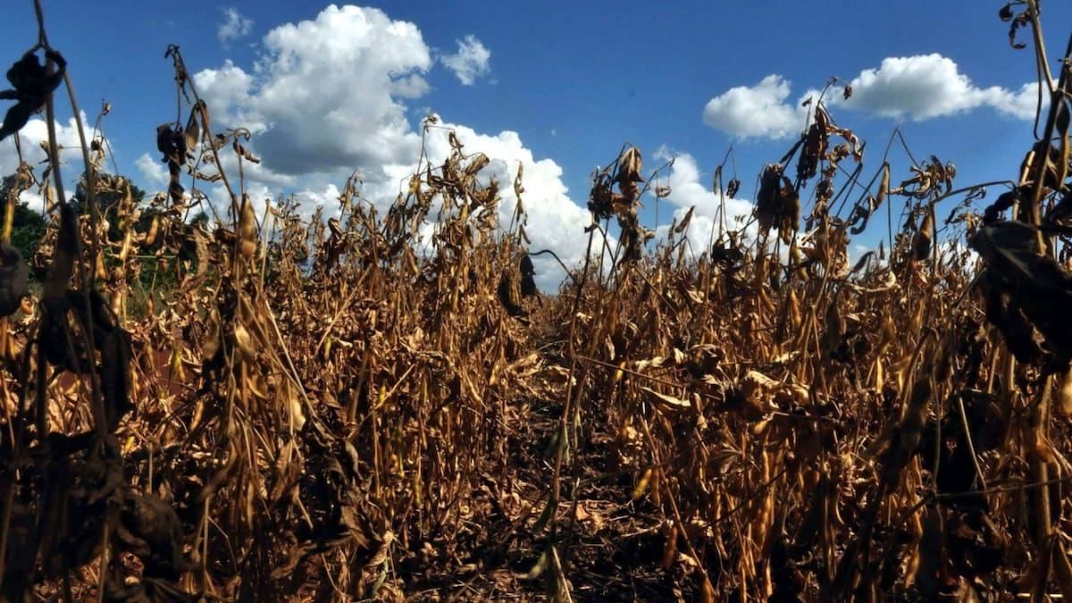Cambio climático. Foto: EFE