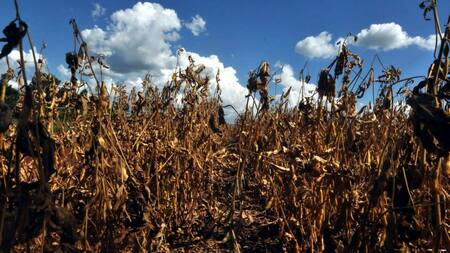 Cambio climático. Foto: EFE