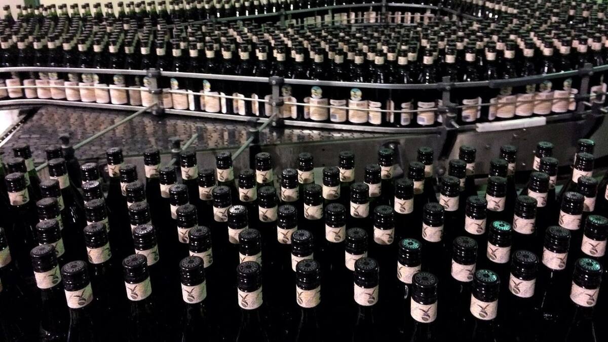 Botellas de fernet vacías, ideales para decorar. Foto: Fernet Branca