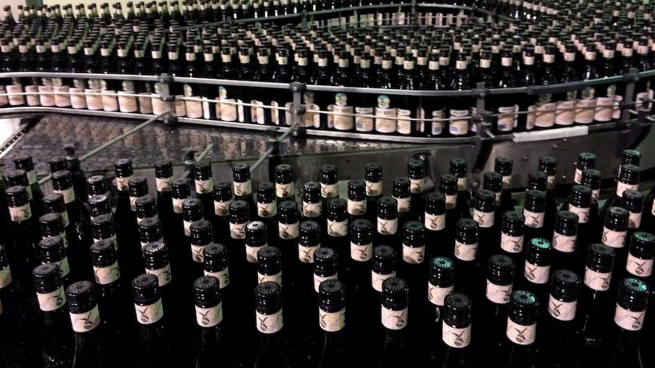 Botellas de fernet vacías, ideales para decorar. Foto: Fernet Branca